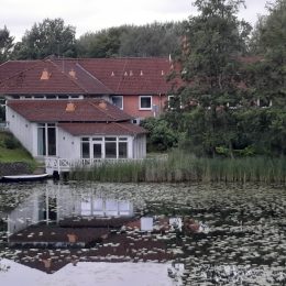 dk/assets/uploads/2026/02/20240802_185804-260x260